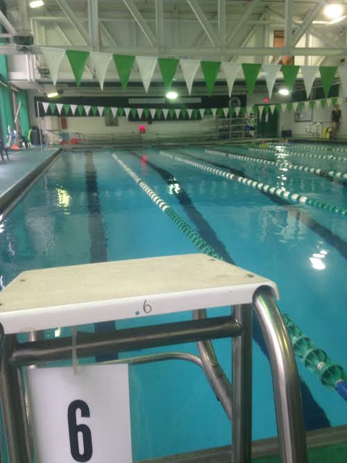 The view a swimmer sees as they get ready to take their dive into the Newman pool.