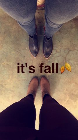 Fashionable Fall