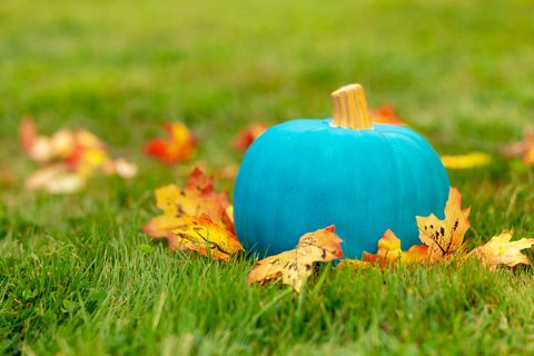 The Teal Pumpkin