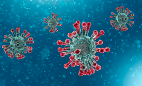 Coronavirus: What is it and should we be worried?